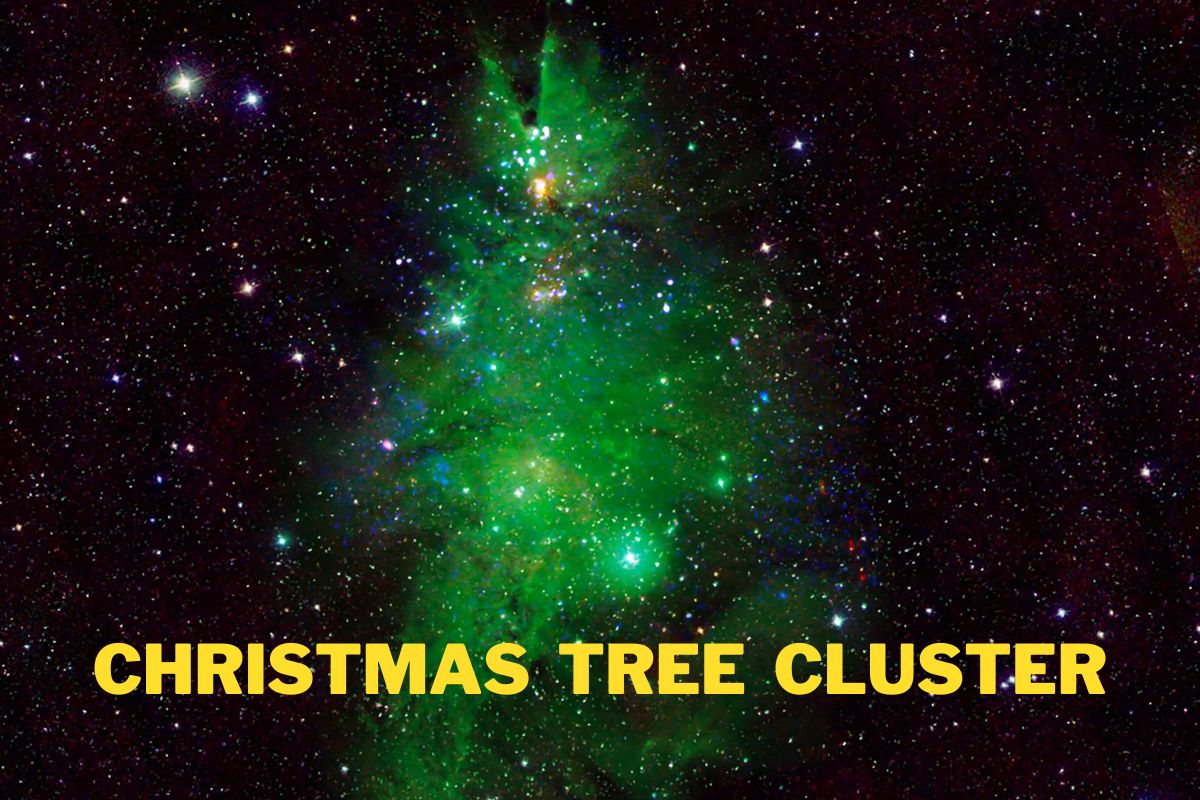 Christmas Tree Cluster
